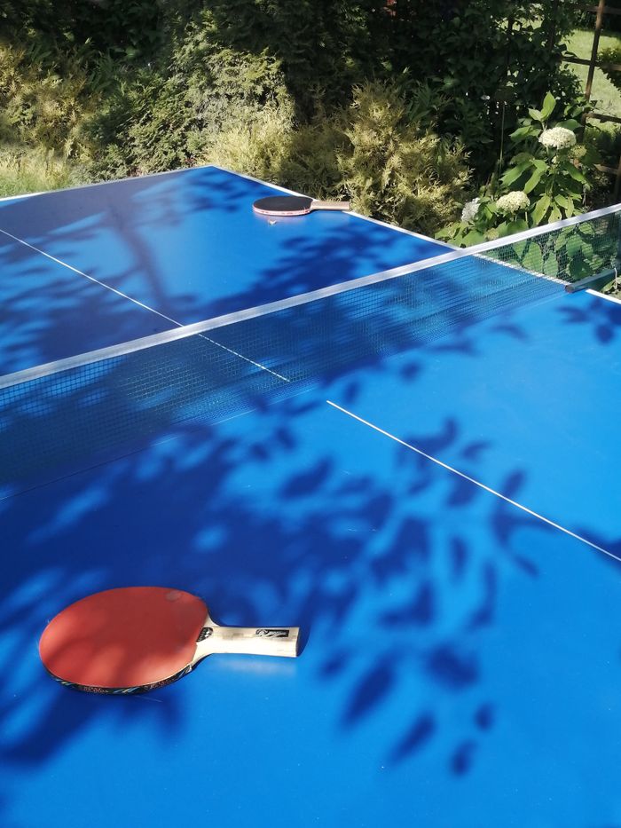 our-story Brightly lit outdoor table tennis setup with rackets shadowed by surrounding greenery.