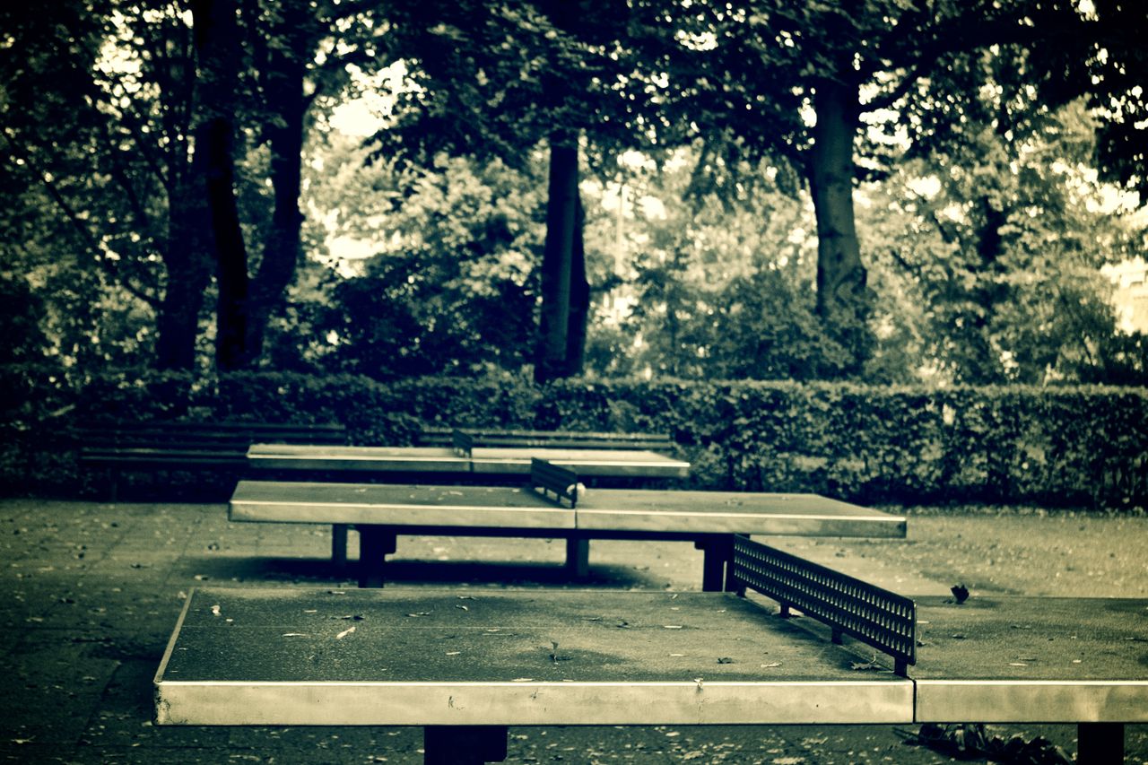 The Art of Drawing Readers In: Your attractive post title goes here Empty outdoor table tennis tables in a serene park setting with lush greenery.